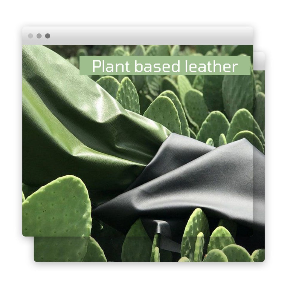 Plant based leather หนังจากพืช ทางเลือกใหม่ที่เป็นมิตรต่อโลกจริงหรือ?